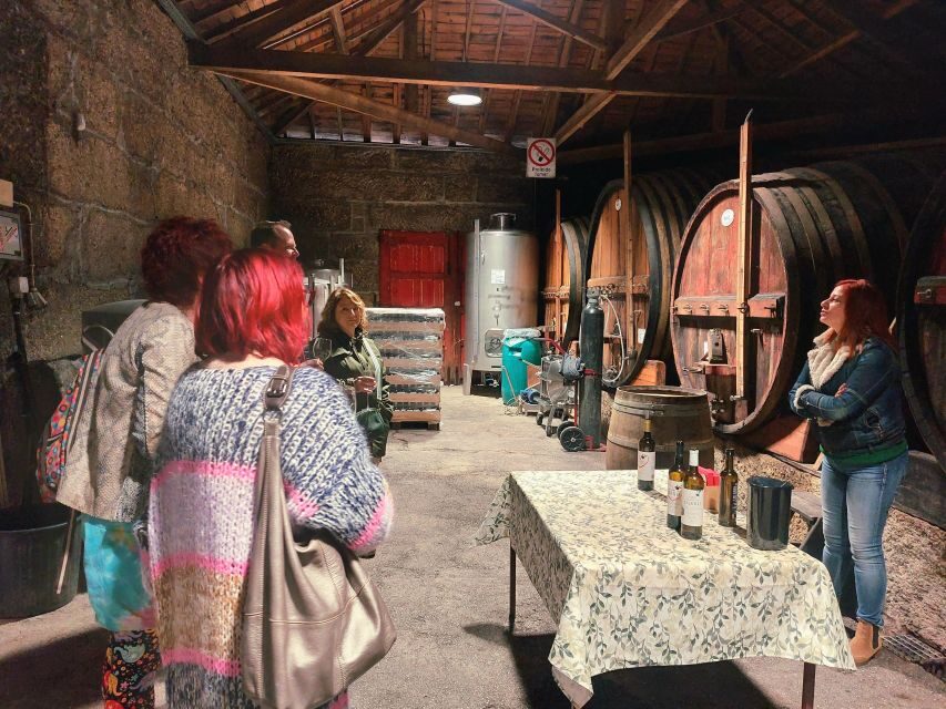 Douro Valley private tour & wine experience including lunch - Pinhão river cruise: the hour that makes the valley feel real