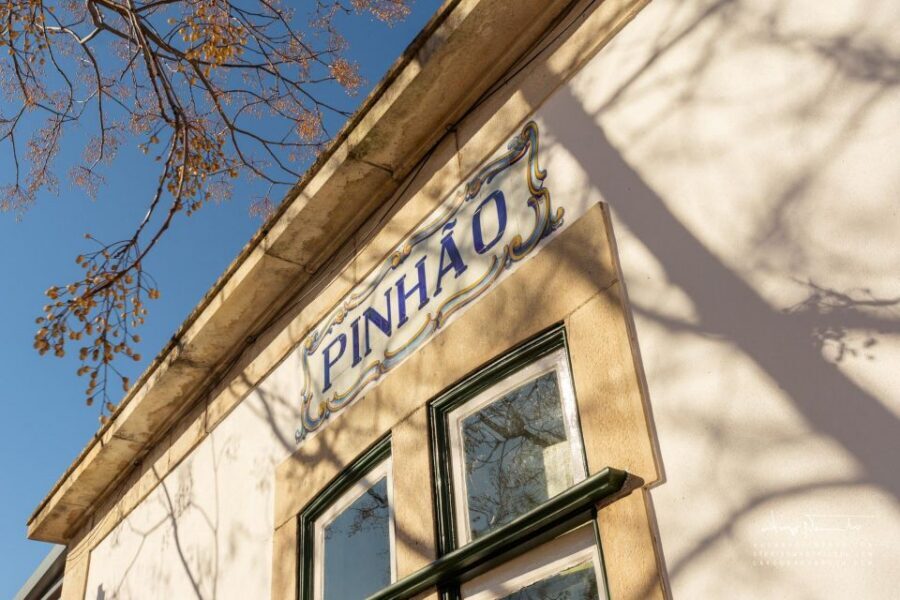 Douro Valley private tour & wine experience including lunch - Timing, comfort, and what to pack for the Douro heat