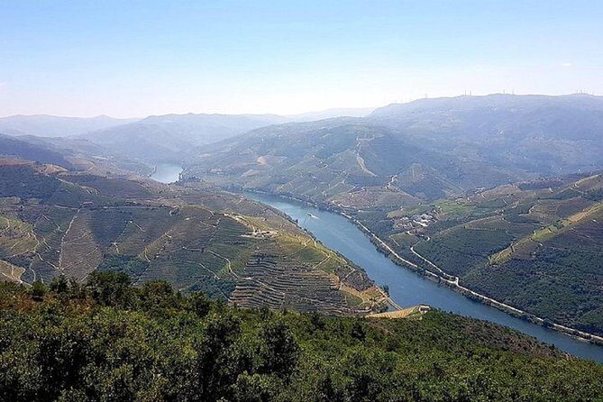 Douro Valley: private tour with lunch and wine estate all inclusive - Porto Walking Tour Added the Next Day