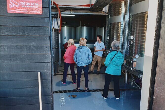 Douro Valley Private Tour with Sommelier - Boutique Wineries and Winemakers: What You’ll Pick Up Fast