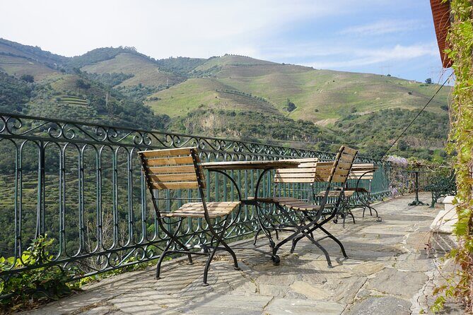 Douro Valley private tour with wine tasting and boat tour - One Hour on the Rio Douro: Boat Time You’ll Actually Remember