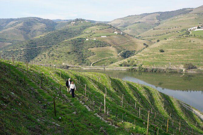 Douro Valley private tour with wine tasting and boat tour - Pinhão Railway Station Tiles: 3047 Pieces of Art