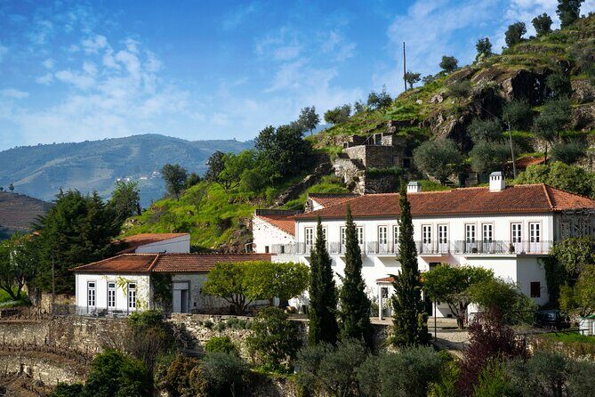 Douro Valley private tour with wine tasting and boat tour - Price and Value: What $449.51 Gets You for Up to 3
