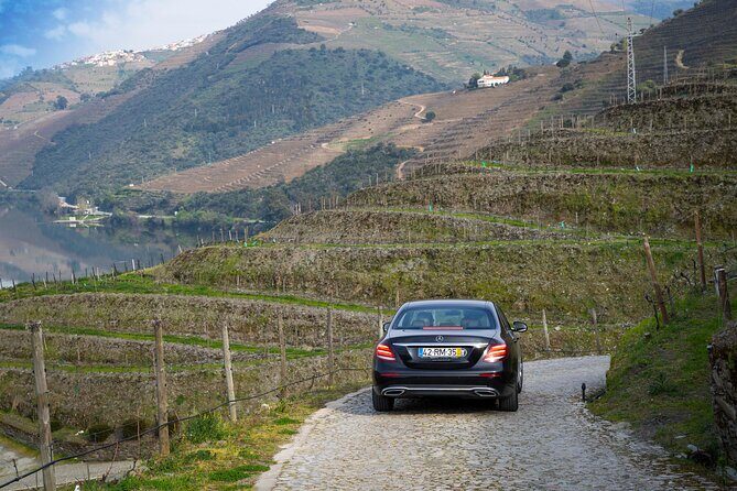 Douro Valley private tour with wine tasting and boat tour - Who This Douro Day Fits Best (and Who Might Prefer Another Format)
