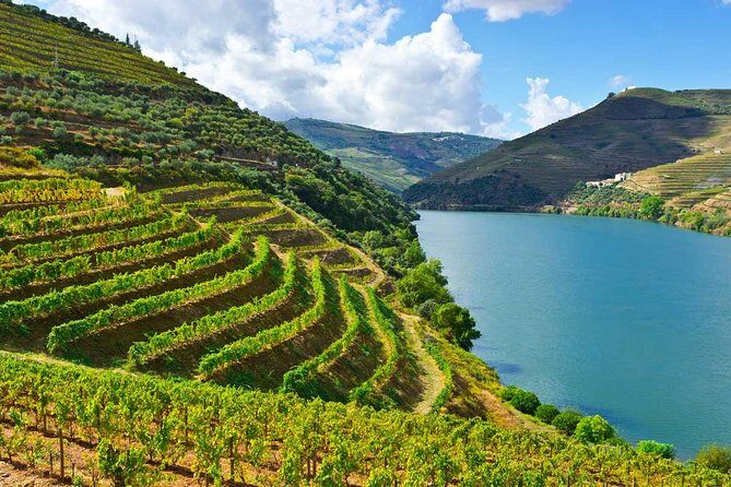 Douro Valley Private Wine and Food Tour From Porto - Key Things That Make This Douro Tour Worth Your Time