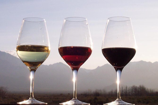 Douro Valley Private Wine and Food Tour From Porto - A Private Douro Day That Starts Where You Sleep (Porto Pickup)