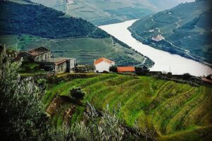 Douro Valley Private Wine and Food Tour From Porto - How the 6 to 9 Hour Timing Works in Real Life
