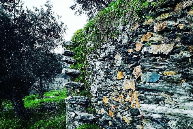 Douro Valley Private Wine and Food Tour From Porto - D’Origem: Second Guided Tasting and a Fresh Comparison
