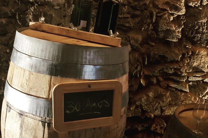 Douro Valley Private Wine and Food Tour From Porto - Port Tastings, River Cruises, and Extra Stops You May Get