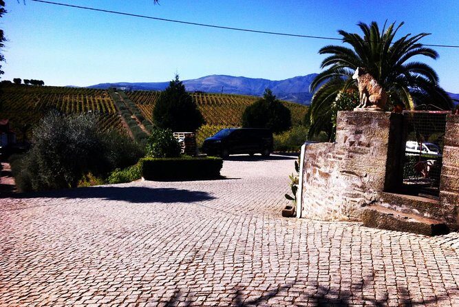 Douro Valley Private Wine and Food Tour From Porto - What’s Included vs. What Costs Extra (So You Don’t Get Surprised)