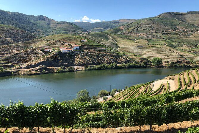 Douro Valley private wine tour | tastings and lunch included - Duoro Valley in One Day: What You’re Actually Buying