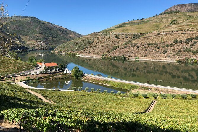 Douro Valley private wine tour | tastings and lunch included - The Guide Makes the Day: Alfredo Santos Leads Many Tours