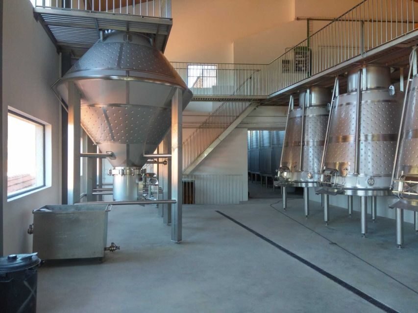 Douro Valley: Quinta de S. Luiz Winery Tour and Tasting - Key highlights worth planning around