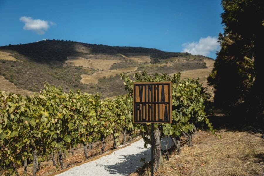 Douro Valley: Quinta de S. Luiz Winery Tour and Tasting - The Alambic house: a chance to see the tools behind Port