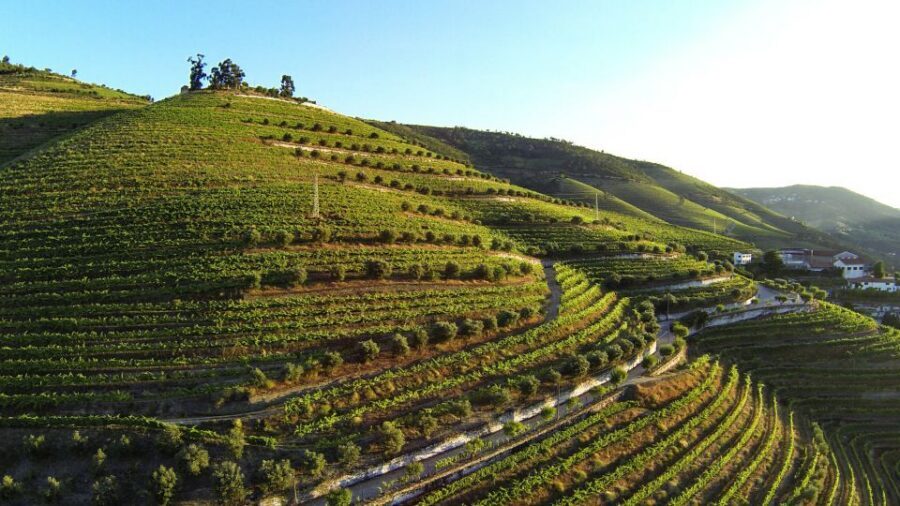 Douro Valley: Quinta de S. Luiz Winery Tour and Tasting - Chapel of Santa Quitéria: a surprising cultural pause