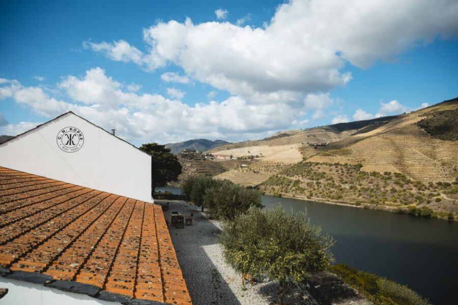 Douro Valley: Quinta de S. Luiz Winery Tour and Tasting - What a 1-hour timing really means (and how to get more from it)