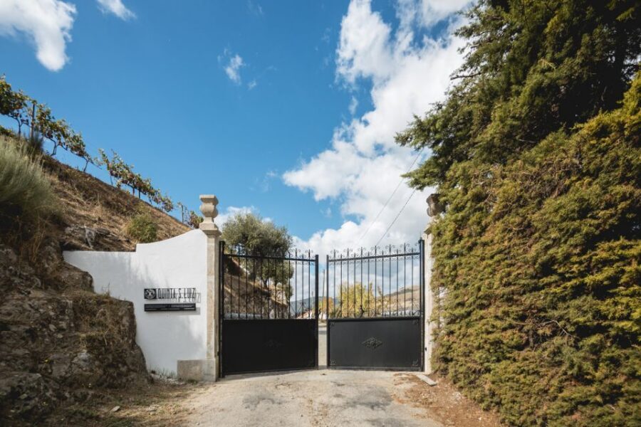 Douro Valley: Quinta de S. Luiz Winery Tour and Tasting - What to bring and wear for a Douro winery hour