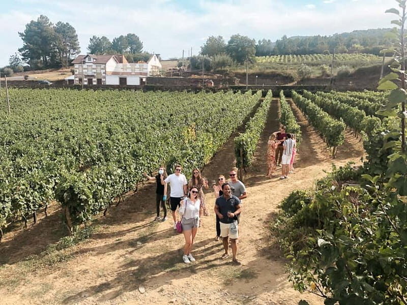Douro Valley: Real Small-Group, Wine Tasting, Lunch & Boat - Porto to the Douro: why this day trip feels controlled (in a good way)