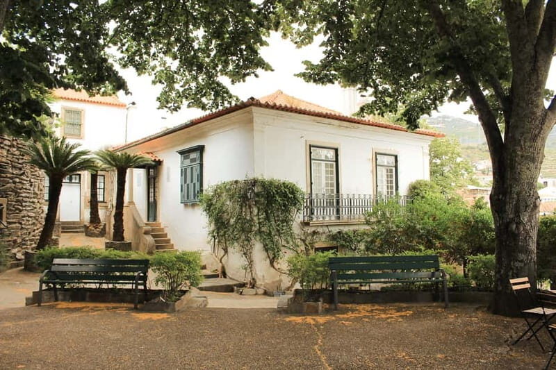 Douro Valley: Real Small-Group, Wine Tasting, Lunch & Boat - Lunch in the Douro: what you get, what to expect, and how to plan
