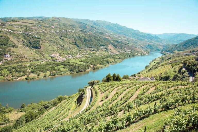 Douro Valley: Real Small-Group, Wine Tasting, Lunch & Boat - The ride in the minivan: timing, comfort, and a heads-up on roads