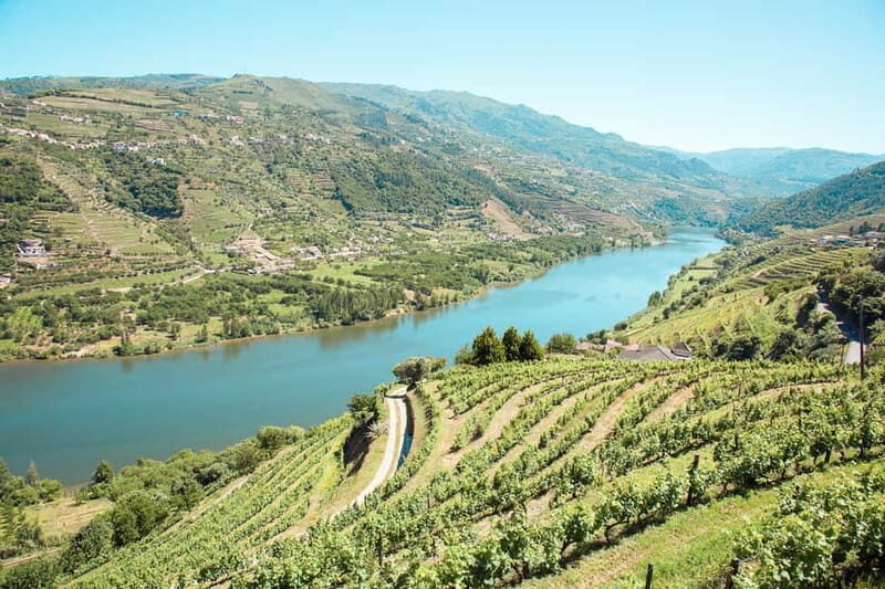 Douro Valley: Real Small-Group, Wine Tasting, Lunch & Boat - The ride in the minivan: timing, comfort, and a heads-up on roads
