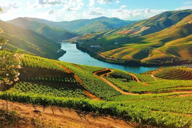 Douro Valley - Relaxed Departure from Porto - Key Highlights Worth Your Time