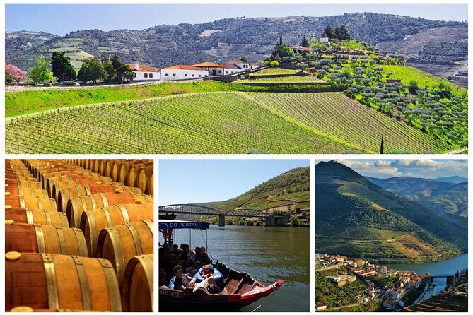 Douro Valley - Relaxed Departure from Porto - Stop 1 in Peso da Régua: Viewpoints First, Always