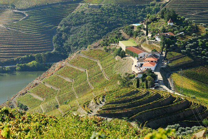 Douro Valley - Relaxed Departure from Porto - Santa Marta de Penaguião: Port Tasting and a Local Flavor Focus