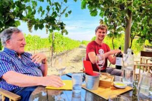 Douro Valley Small-Group Tour: 2 Wineries, Lunch, Optional Cruise - Douro Valley viewpoints and winery time: what makes the region feel different