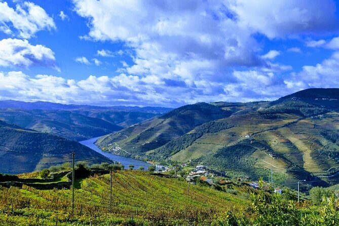 Douro Valley Small-Group Tour: 2 Wineries, Lunch, Optional Cruise - Optional Douro River cruise from Pinhão: when it’s worth the extra time