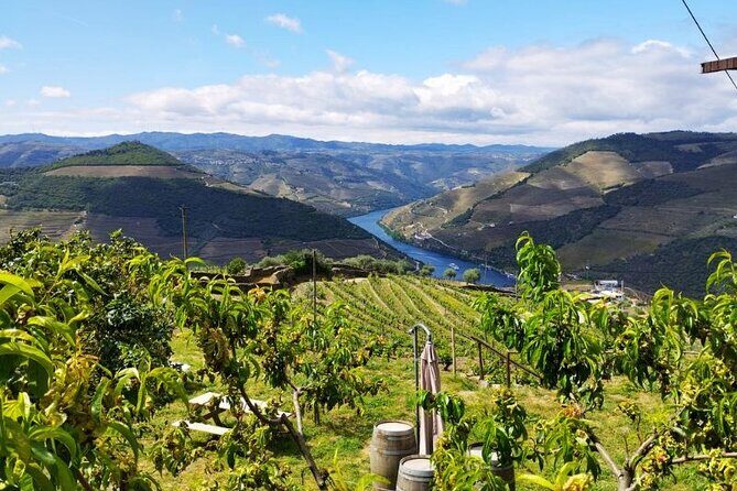 Douro Valley Small-Group Tour: 2 Wineries, Lunch, Optional Cruise - Two winery stops and tastings: how to get more from the pours