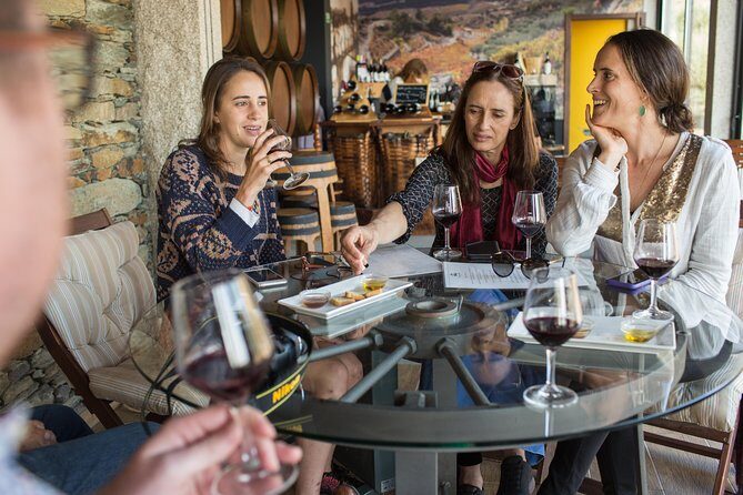 Douro Valley Small-Group Tour with Wine Tasting, Lunch and Boat - Douro River Cruise: Scenic Views, Possible Shared Boat, and the Headphones Tip