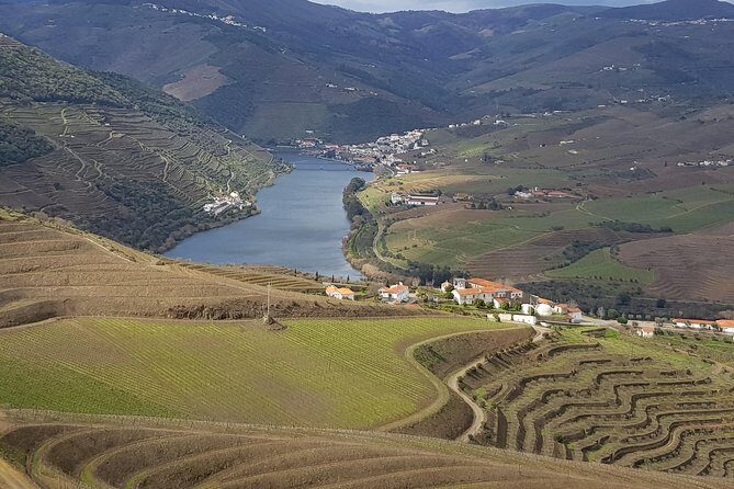 Douro Valley Tour: 2 Vineyard Visits, River Cruise, Winery Lunch - Key things to know before you go