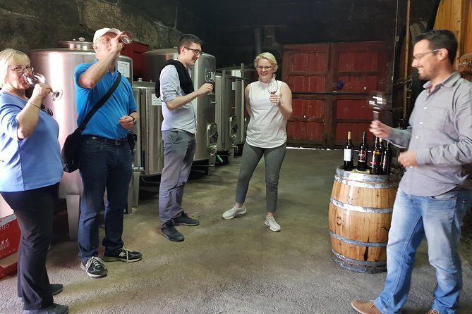 Douro Valley Tour: 2 Vineyard Visits, River Cruise, Winery Lunch - A Long, Scenic Day from Porto to the Douro