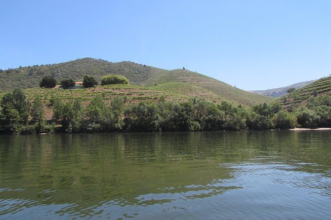 Douro Valley Tour: 2 Vineyard Visits, River Cruise, Winery Lunch - Getting There: The Van Ride, Wi‑Fi, and the Curves on N222