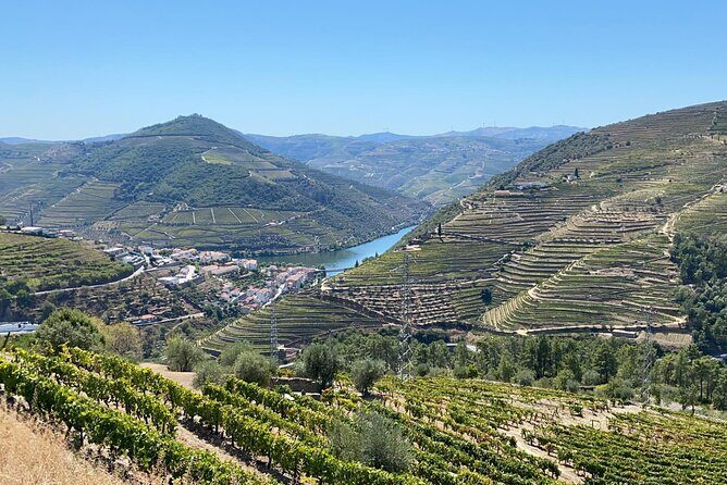 Douro Valley Tour - 3 Wine tastings, Lunch & river Cruise - Amarante: Cheese, Charcuterie, and Vinho Verde with a Village Stroll