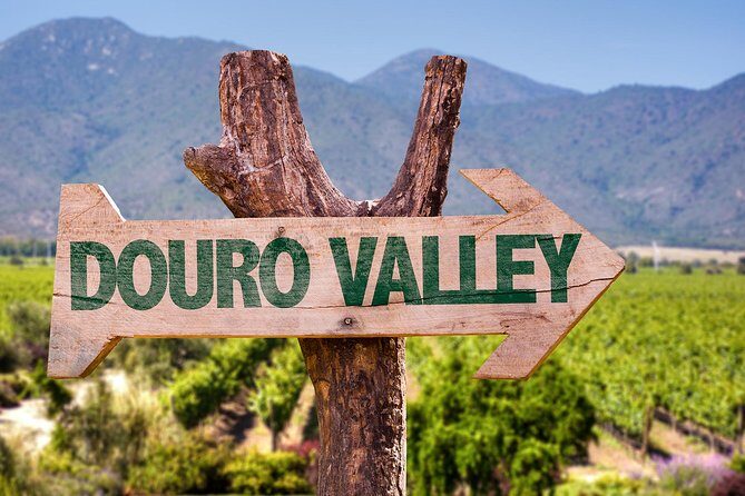 Douro Valley Tour from Peso da Regua - Key highlights you’ll care about