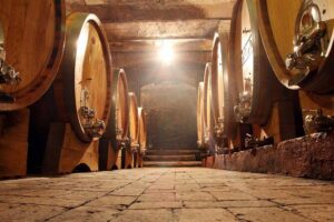 Douro Valley Tour from Peso da Regua - Morning in Peso da Régua: Start Easy, Stretch Your Legs