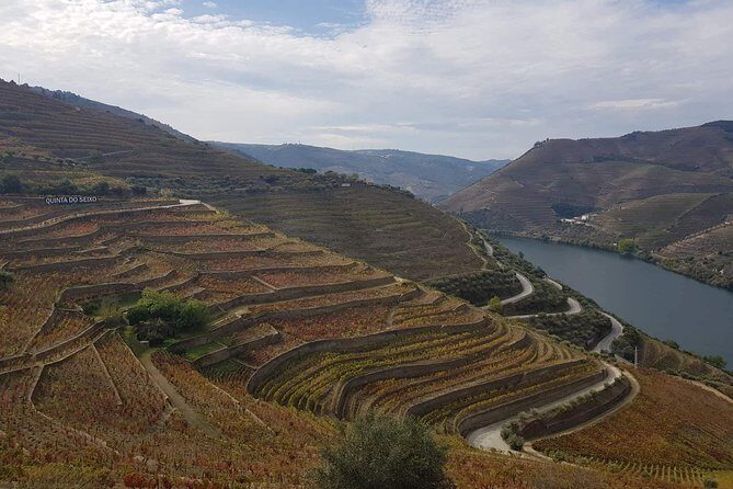 Douro Valley Tour from Peso da Regua - Pinhão Boat Tour and Lunch: The Douro at River Level