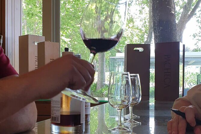 Douro Valley Tour Wine and breathtaking views - Key things to know before you go