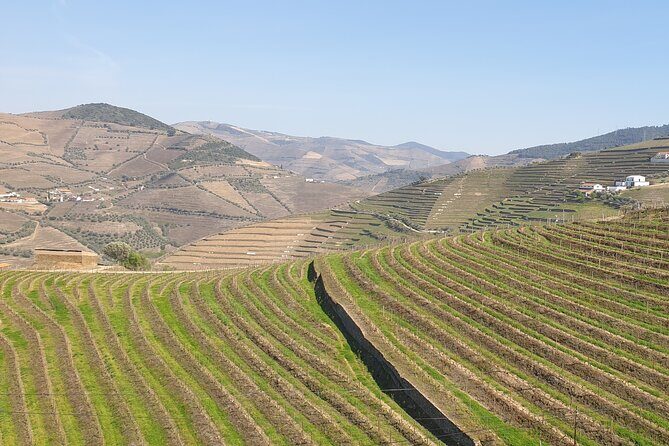 Douro Valley Tour Wine and breathtaking views - The Douro Valley drive and the quick photo stops on the way