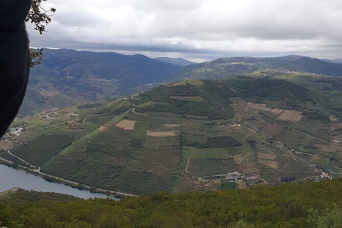 Douro Valley Tour Wine and breathtaking views - Quinta da Pacheca: the optional tasting stop for people who want more wine