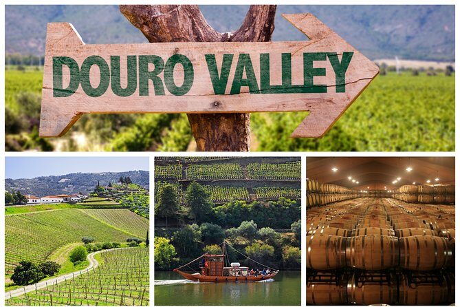 Douro Valley Tour: Wine Tasting, Cruise and Lunch from Porto - Key highlights worth your attention
