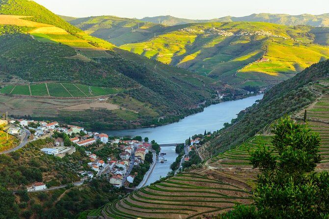 Douro Valley Tour: Wine Tasting, Cruise and Lunch from Porto - The 1-hour Douro river cruise: the calm break (with weather in mind)