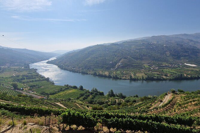 Douro Valley Tour: Wine Tasting River Cruise and Lunch from Porto - Porto’s 8:00 am start: Largo do Actor Dias and the Fernandina Walls