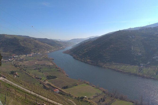 Douro Valley Tour: Wine Tasting River Cruise and Lunch from Porto - The highlight: a 55-minute Barco Rebelo cruise on the Douro