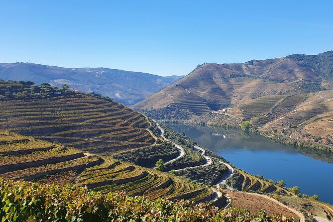 Douro Valley Tour: Wine Tasting River Cruise and Lunch from Porto - Logistics and comfort: air-conditioned vans, but don’t ignore the ride