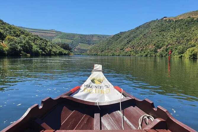 Douro Valley Tour with Train and Vinho Verde - Vilarinho de São Romão cellar tasting: wine plus olive oil