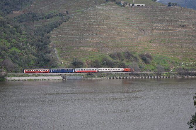 Douro Valley Tour with Train and Vinho Verde - The transport mix: why this tour feels active