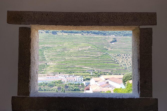 Douro Valley Wine Tour: 3 Vineyard Visits, Wine Tastings, Lunch - Price and value for a $133 Douro Valley wine day